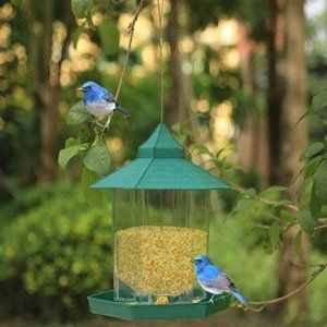 Hexagon Bird Feeder
